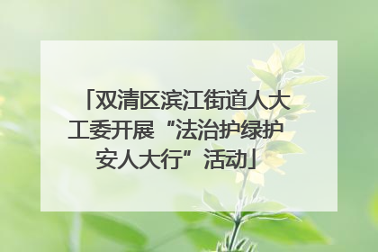 双清区滨江街道人大工委开展“法治护绿护安人大行”活动