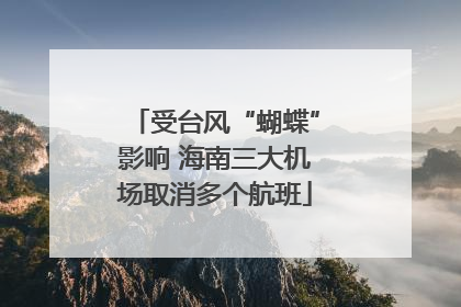 受台风“蝴蝶”影响 海南三大机场取消多个航班