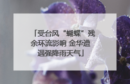 受台风“蝴蝶”残余环流影响 金华遭遇强降雨天气