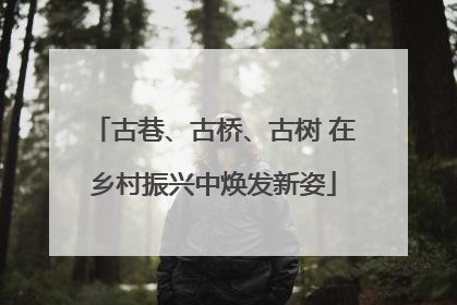 古巷、古桥、古树 在乡村振兴中焕发新姿