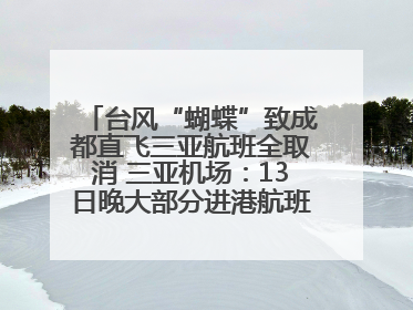 台风“蝴蝶”致成都直飞三亚航班全取消 三亚机场：13日晚大部分进港航班还未取消