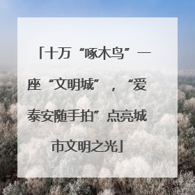 十万“啄木鸟”一座“文明城”，“爱泰安随手拍”点亮城市文明之光