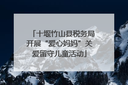 十堰竹山县税务局开展“爱心妈妈”关爱留守儿童活动
