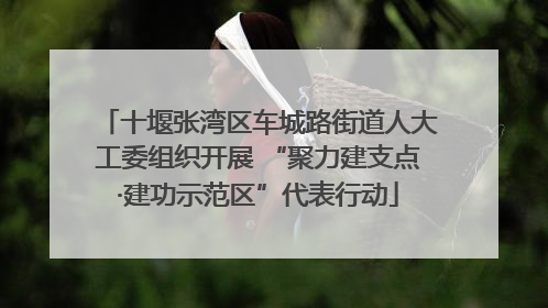 十堰张湾区车城路街道人大工委组织开展 “聚力建支点·建功示范区”代表行动