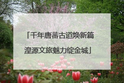 千年唐蕃古道焕新篇 湟源文旅魅力绽金城