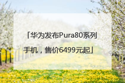 华为发布Pura80系列手机，售价6499元起