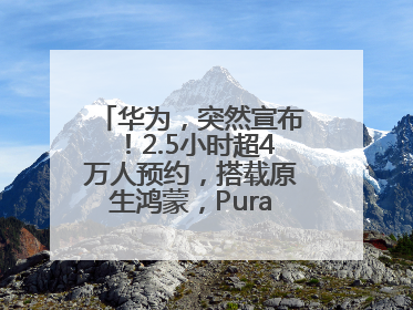 华为，突然宣布！2.5小时超4万人预约，搭载原生鸿蒙，Pura 80外观曝光