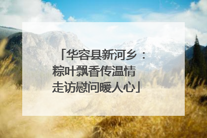 华容县新河乡：粽叶飘香传温情 走访慰问暖人心