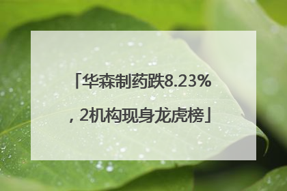 华森制药跌8.23%，2机构现身龙虎榜