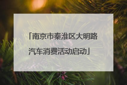 南京市秦淮区大明路汽车消费活动启动