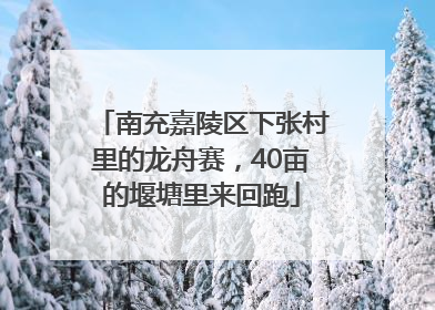 南充嘉陵区下张村里的龙舟赛，40亩的堰塘里来回跑