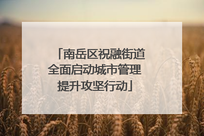 南岳区祝融街道全面启动城市管理提升攻坚行动