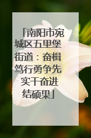 南阳市宛城区五里堡街道：奋楫笃行勇争先 实干奋进结硕果