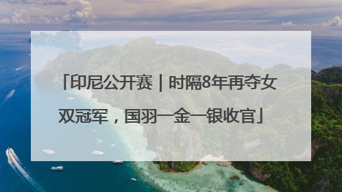 印尼公开赛｜时隔8年再夺女双冠军，国羽一金一银收官