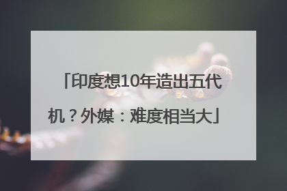 印度想10年造出五代机？外媒：难度相当大