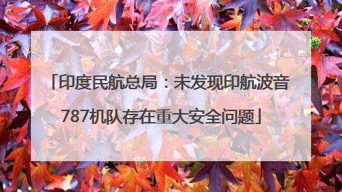 印度民航总局：未发现印航波音787机队存在重大安全问题