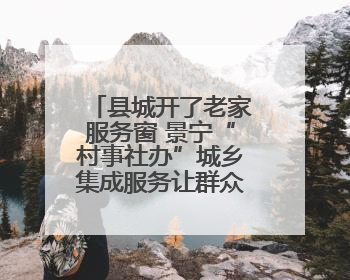 县城开了老家服务窗 景宁“村事社办”城乡集成服务让群众办事更便利