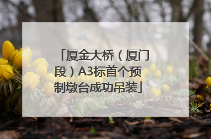 厦金大桥（厦门段）A3标首个预制墩台成功吊装