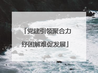 党建引领聚合力 纾困解难促发展