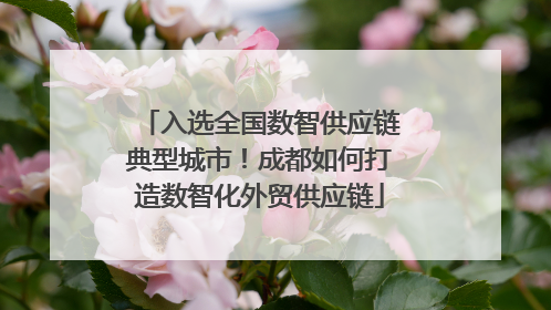 入选全国数智供应链典型城市！成都如何打造数智化外贸供应链