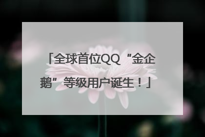全球首位QQ“金企鹅”等级用户诞生！