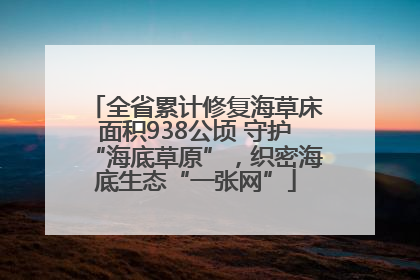 全省累计修复海草床面积938公顷 守护“海底草原”，织密海底生态“一张网”