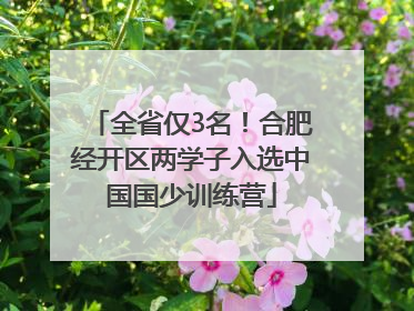 全省仅3名！合肥经开区两学子入选中国国少训练营