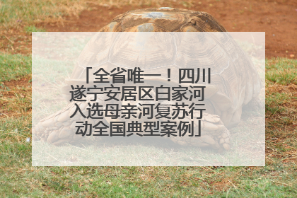 全省唯一！四川遂宁安居区白家河入选母亲河复苏行动全国典型案例