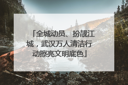 全城动员、扮靓江城，武汉万人清洁行动擦亮文明底色