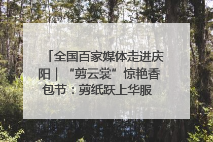 全国百家媒体走进庆阳｜“剪云裳”惊艳香包节：剪纸跃上华服 非遗焕发新彩