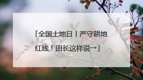 全国土地日丨严守耕地红线！田长这样说→