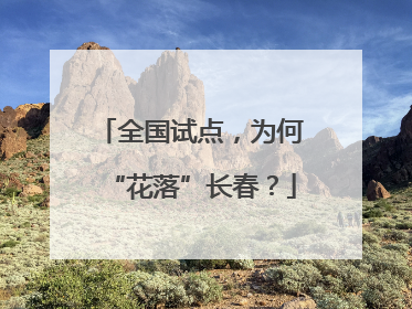 全国试点，为何“花落”长春？