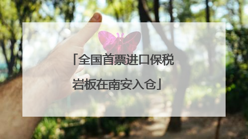 全国首票进口保税岩板在南安入仓
