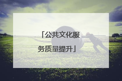 公共文化服务质量提升