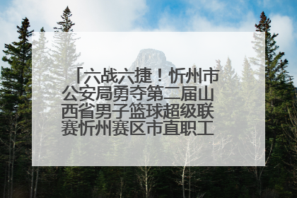 六战六捷！忻州市公安局勇夺第二届山西省男子篮球超级联赛忻州赛区市直职工组比赛冠军