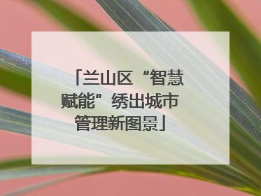 兰山区“智慧赋能”绣出城市管理新图景
