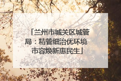 兰州市城关区城管局：精管细治优环境 市容焕新惠民生