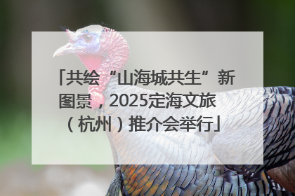 共绘“山海城共生”新图景，2025定海文旅（杭州）推介会举行