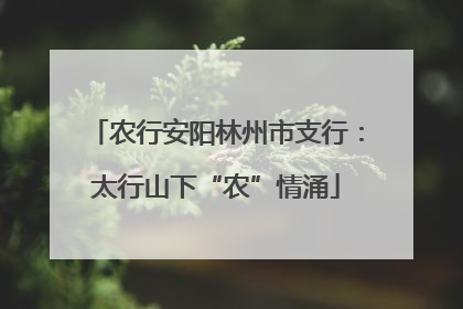 农行安阳林州市支行：太行山下“农”情涌