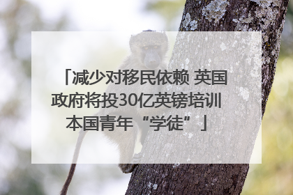减少对移民依赖 英国政府将投30亿英镑培训本国青年“学徒”