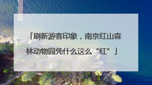刷新游客印象，南京红山森林动物园凭什么这么“红”