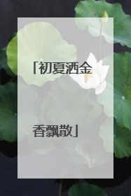 初夏洒金香飘散