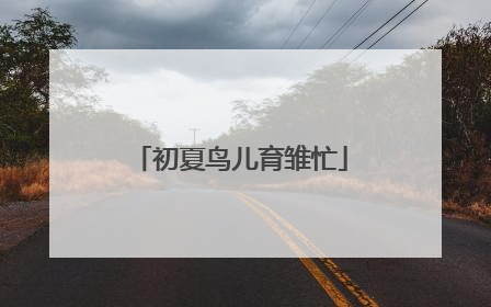 初夏鸟儿育雏忙