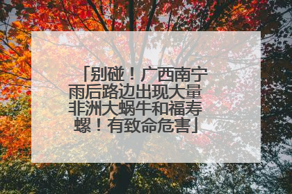 别碰！广西南宁雨后路边出现大量非洲大蜗牛和福寿螺！有致命危害