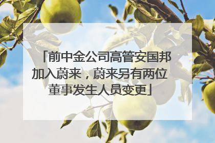 前中金公司高管安国邦加入蔚来，蔚来另有两位董事发生人员变更