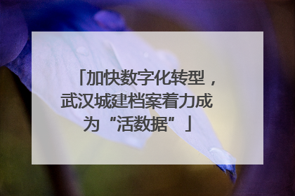加快数字化转型，武汉城建档案着力成为“活数据”