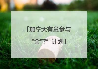 加拿大有意参与“金穹”计划