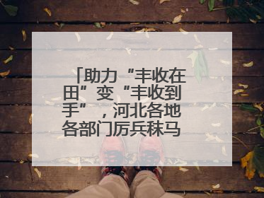 助力“丰收在田”变“丰收到手”，河北各地各部门厉兵秣马迎战“三夏”