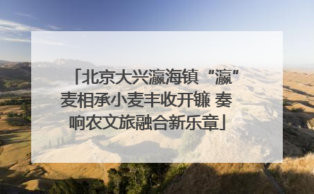 北京大兴瀛海镇“瀛”麦相承小麦丰收开镰 奏响农文旅融合新乐章