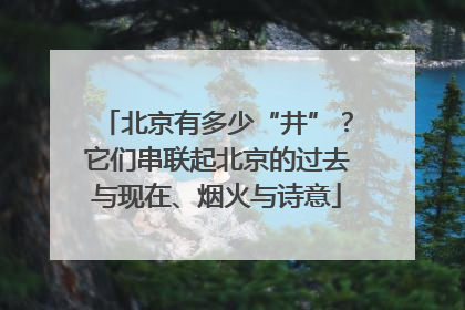 北京有多少“井”？它们串联起北京的过去与现在、烟火与诗意